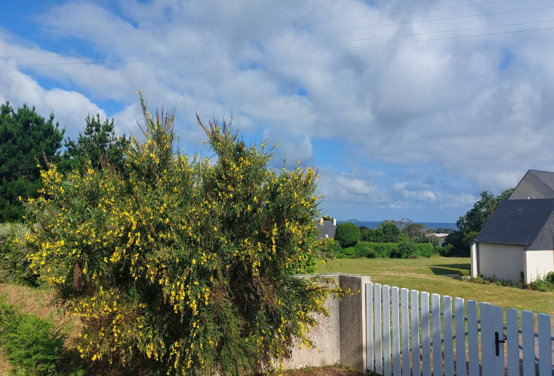Balade à Port-blanc depuis Penvénan - Penvénan