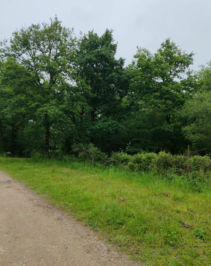 Trans Sologne aux environs d'Orléans - Yvoy-le-Marron
