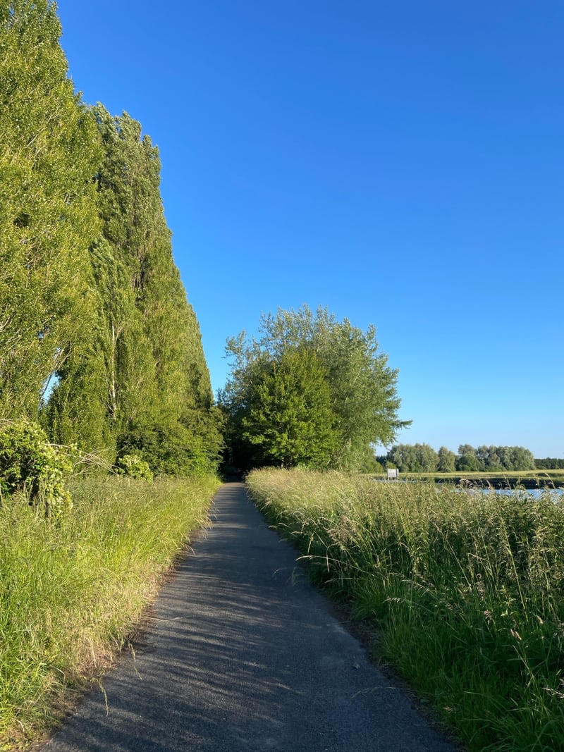 Boucle sur le canal d’Aire - Annezin
