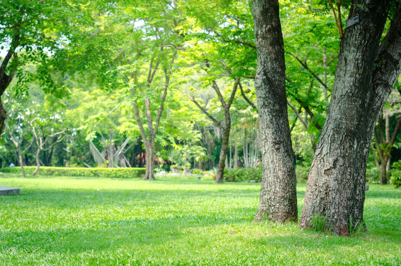 Park w Świerklańcu: Najważniejsze miejsca do zobaczenia - Świerklaniec