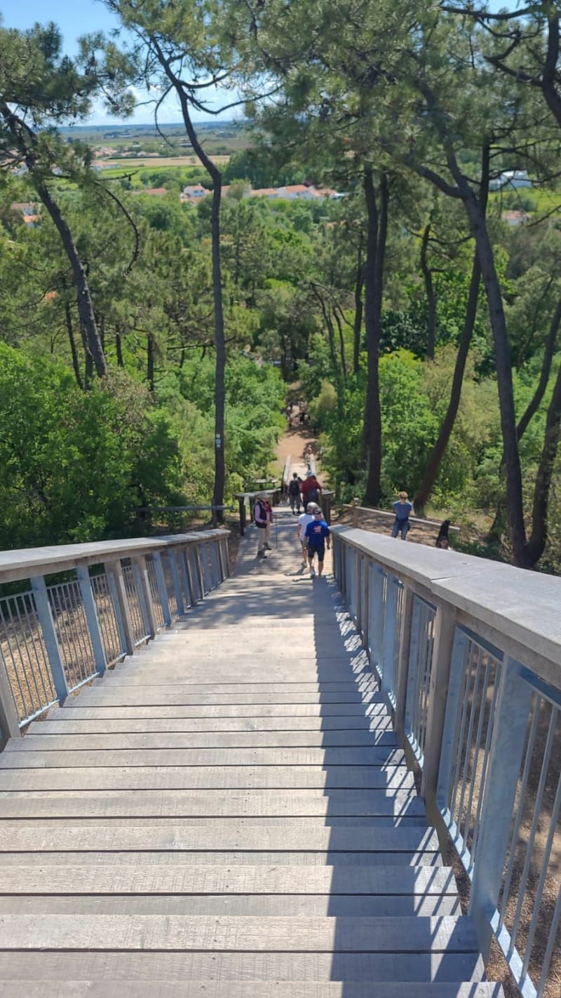 Wandeling tussen moeras en bos - La Barre-de-Monts