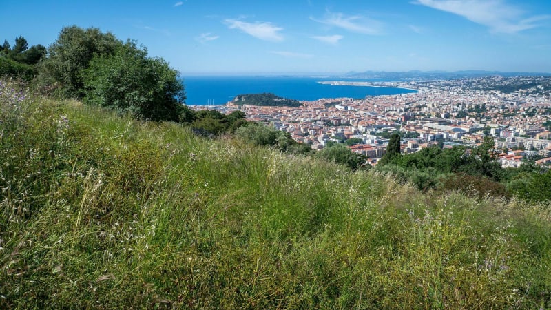 Boucle du Parc du Vinaigrier et du Mont Boron - Nice