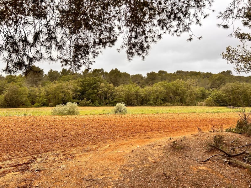 Balade dans le Bois de Bassan - Bassan