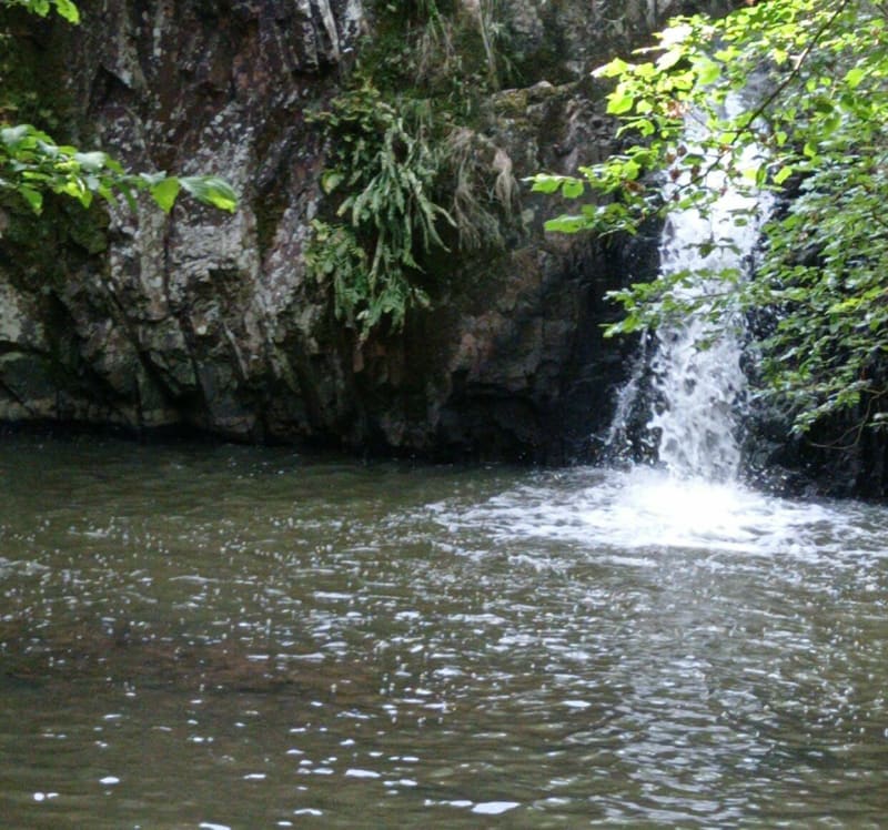 Balade à Sainte Radegonde - Thouars