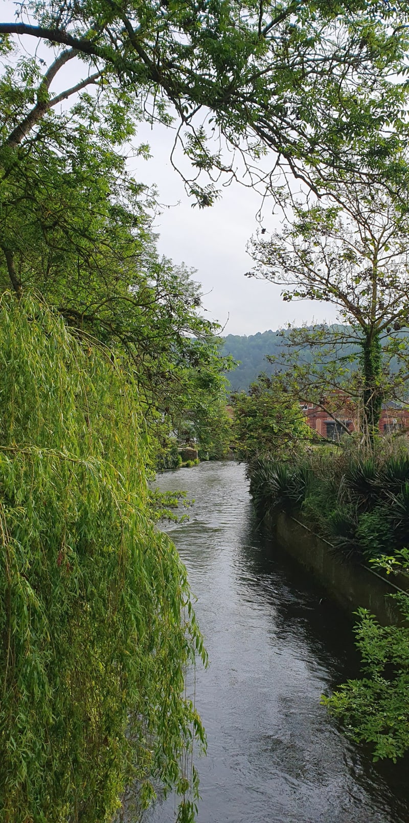 Foret à Sacquenville - Sacquenville