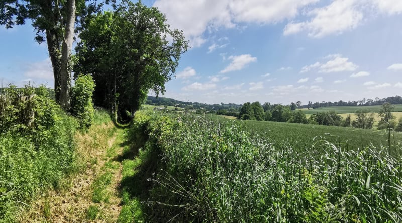 Les hauts de Roucamps - Les Monts d'Aunay