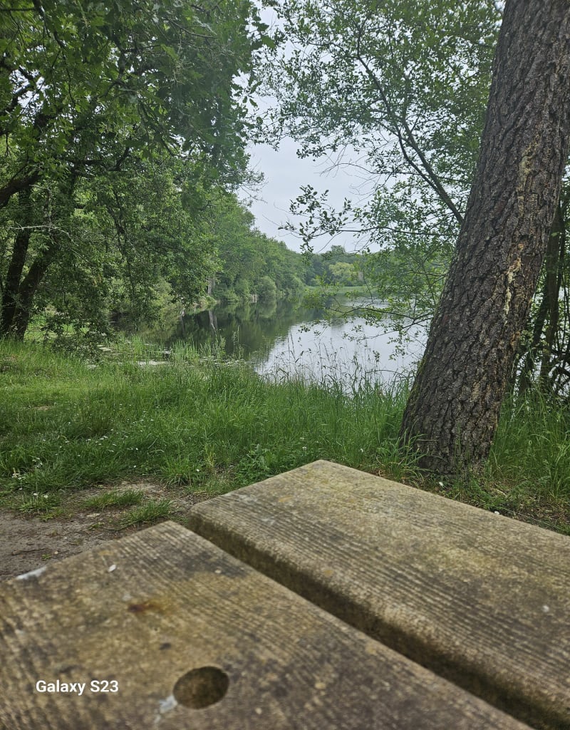 Boucle de l'Étang de Joreau - Gennes-Val-de-Loire