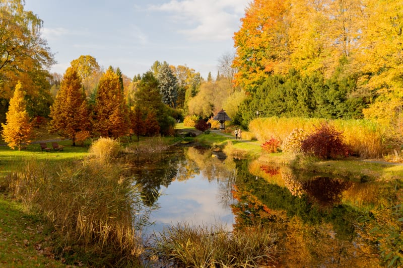 Katowice: park z historią w tle - Katowice