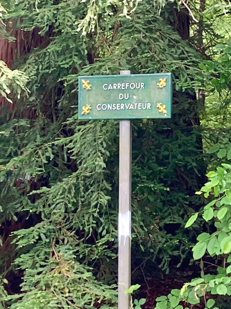 Forêt de Blois-Carrefour du Conservateur - Blois