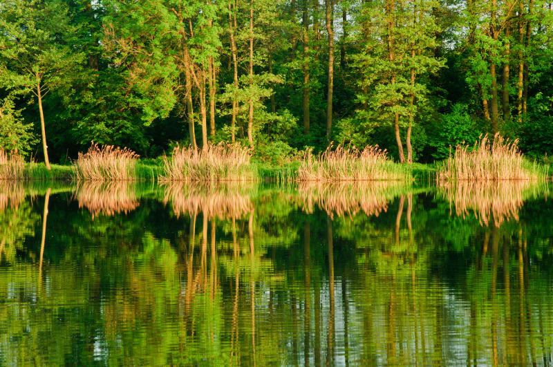 Ińsko jezioro - spotkanie z naturą Pojezierza - Ińsko