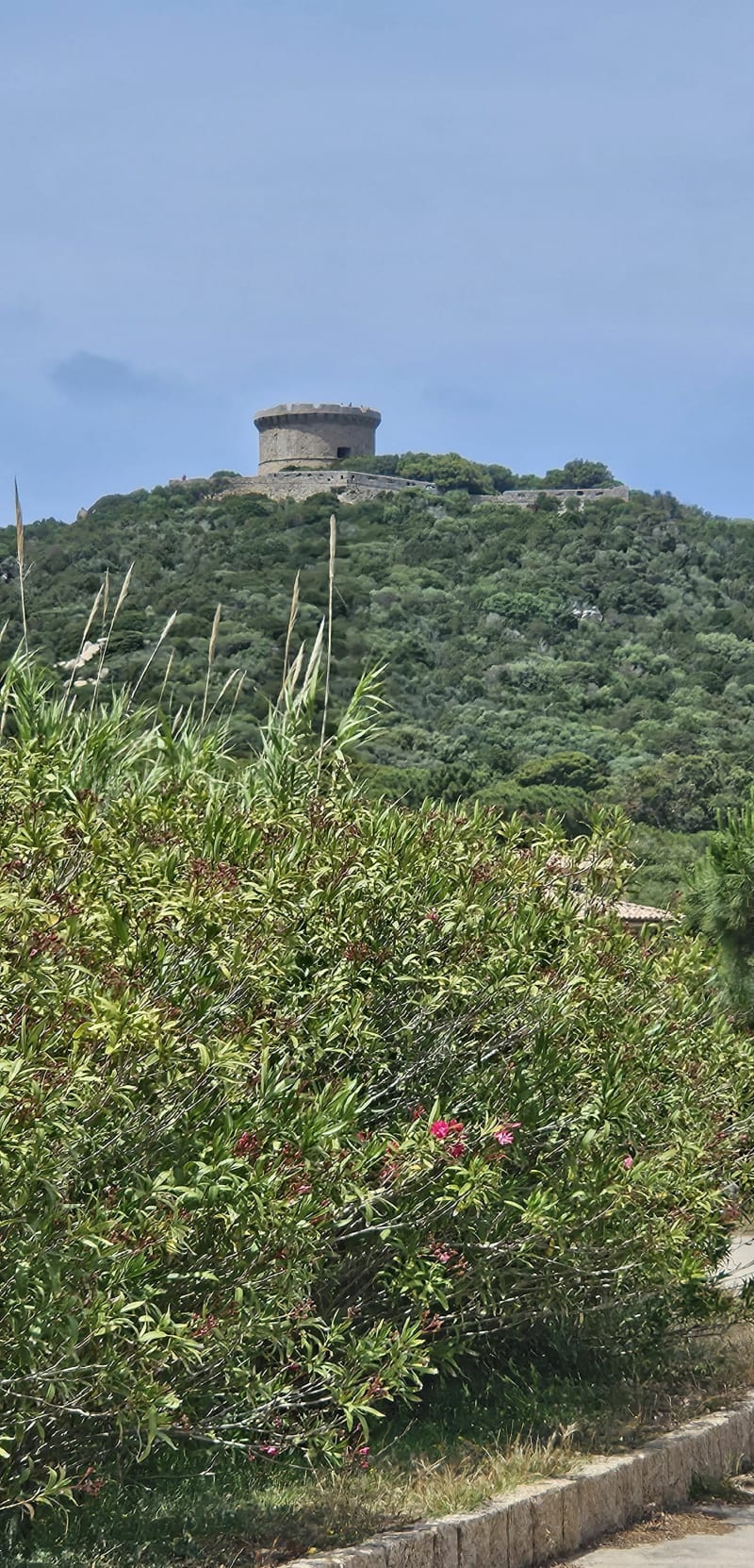 Tour génoise de Campomoro - Belvédère-Campomoro