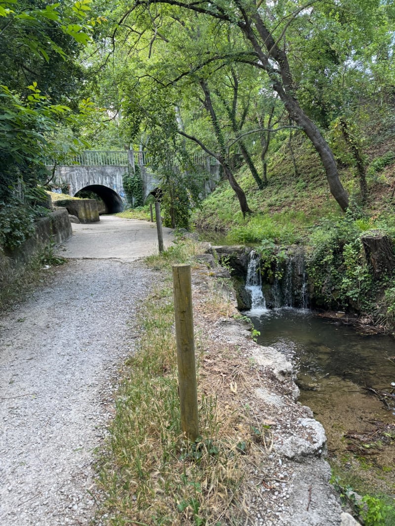 Les sous-bois de Gardanne - Simiane-Collongue