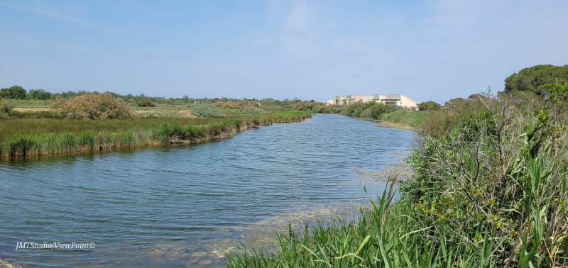 Le tour des marécages, entre étang et mer autour d'Agde - Vias