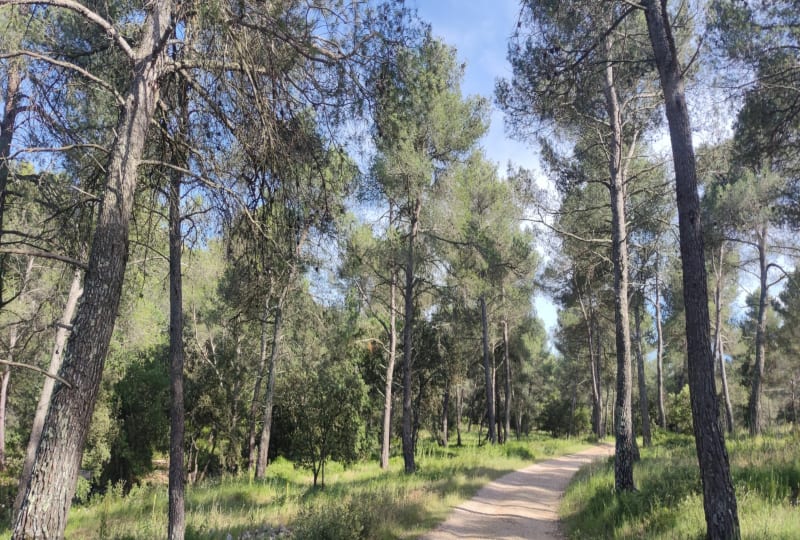 Entre Les Taillades et le. pied du Luberon . - Taillades