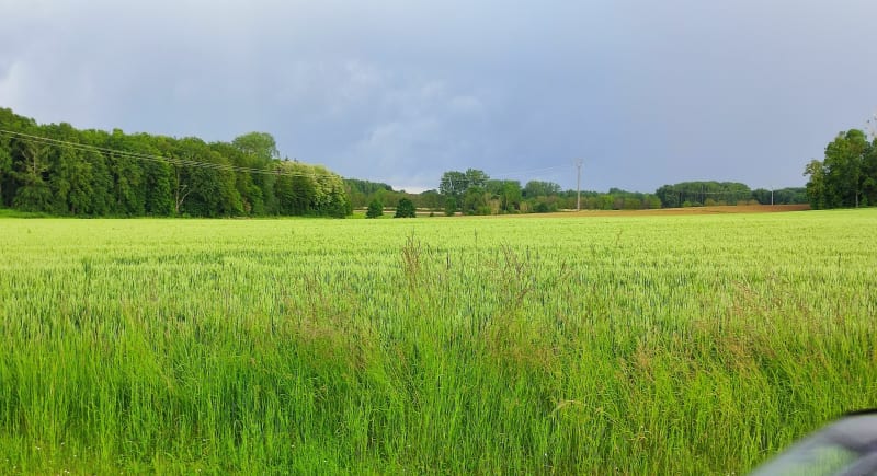 Plaine de Monchy-Humières - Estrées-Saint-Denis