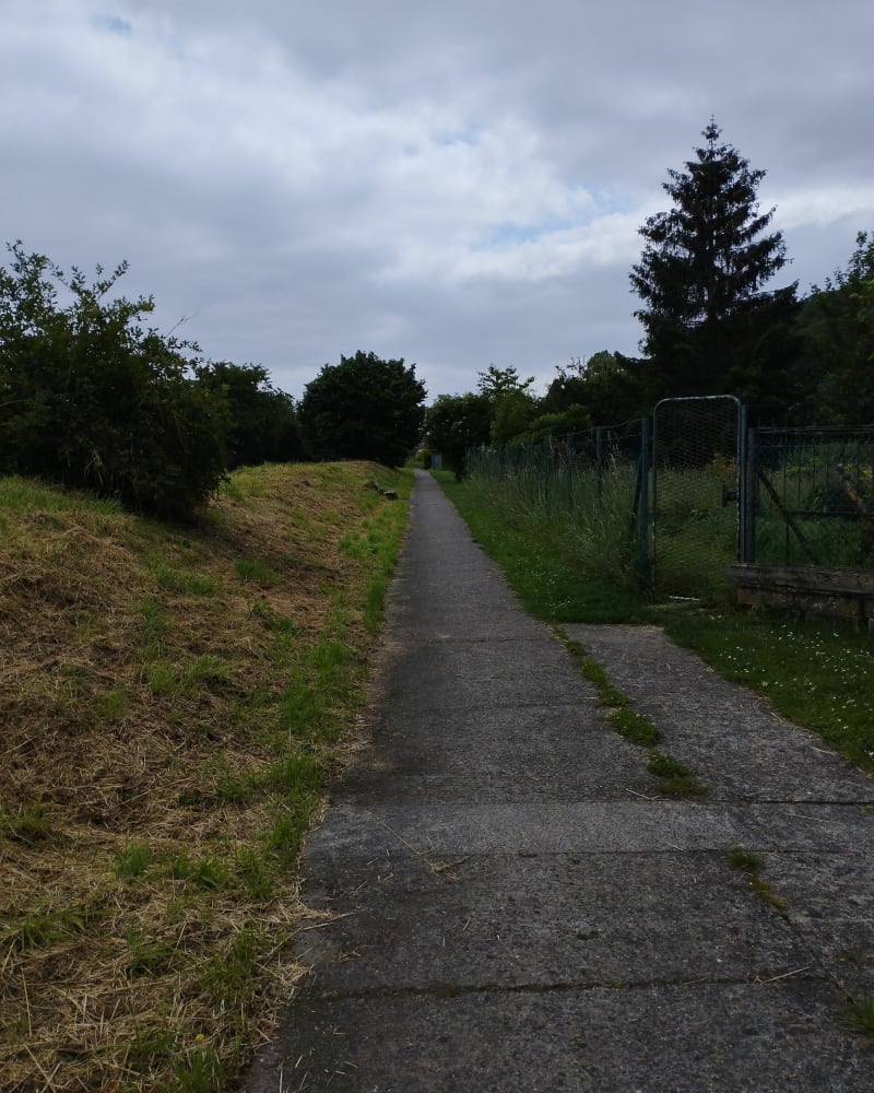 Balade le long de L'Oise entre Venette et Jaux - Venette