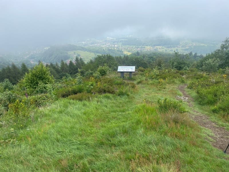 La Planche tourne et retourne - Auxelles-Haut