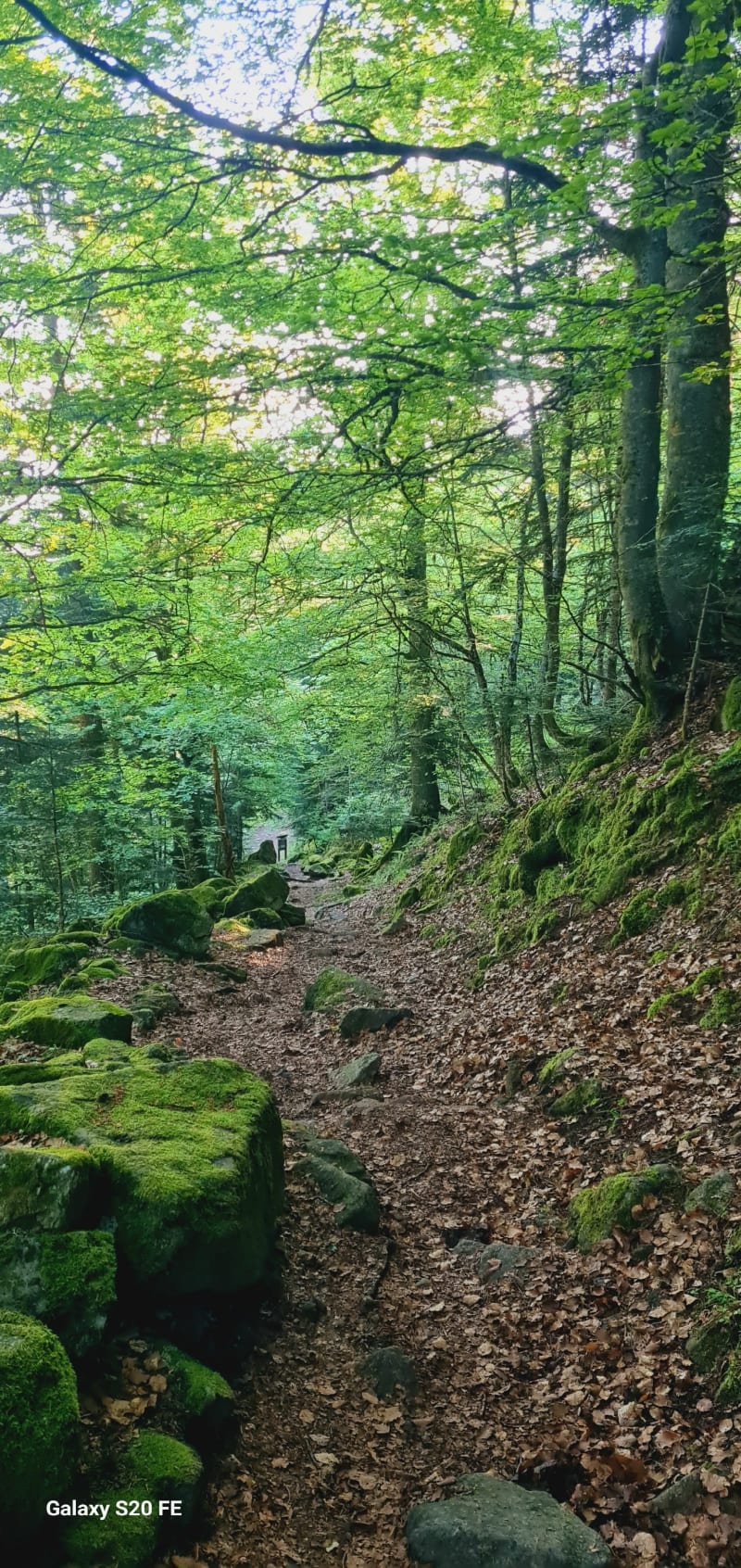 Le Petit Pic de Cazalassis - Mérens-les-Vals