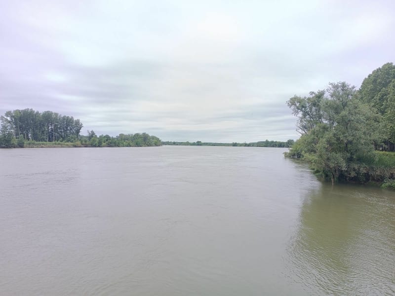 Boucle verte à Langoiran et bord de Garonne - Langoiran