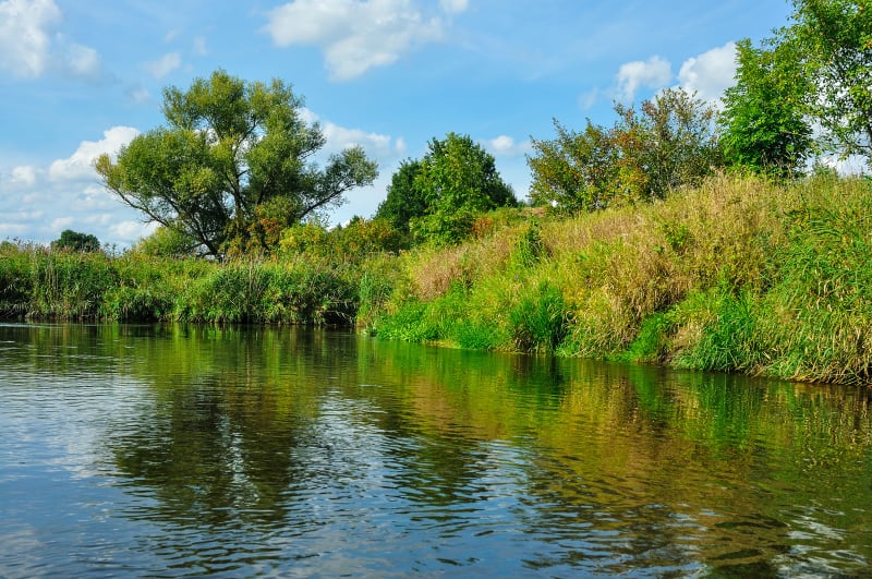 Jezioro Małe Dąbie w Szczecinie – odpocznij w otoczeniu przyrody - Szczecin