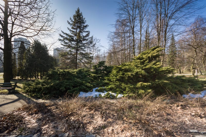Park Chorzów z Pole Marsowe - odkrywaj magię Śląska! - Chorzów