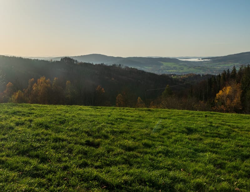 Relaksująca wędrówka z Łysej Polany do Doliny Filipka - Bukowina Tatrzańska