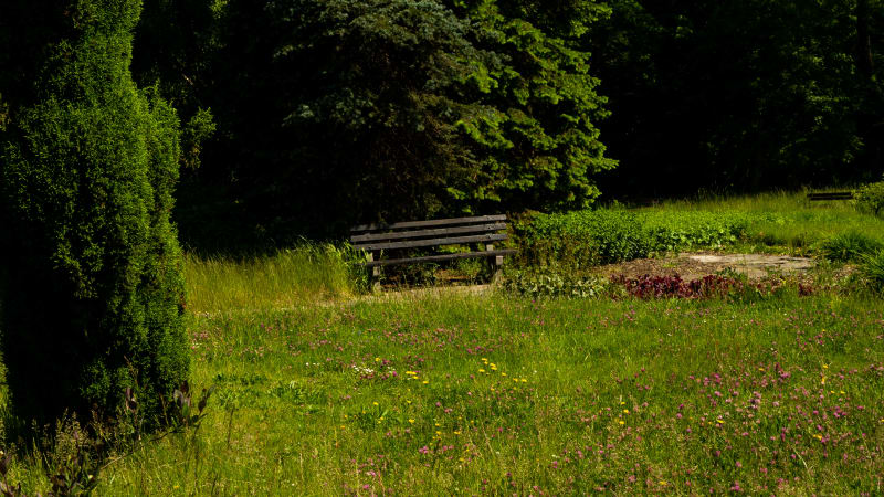 Chorzów Park Linowy - nieco adrenaliny na łonie natury - Katowice