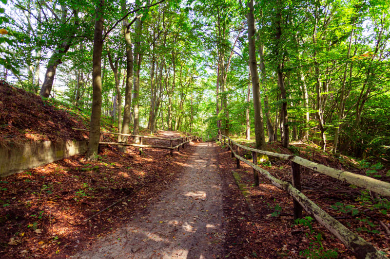 Nationalpark Wolin - jedyne takie miejsce na mapie - Biała Góra