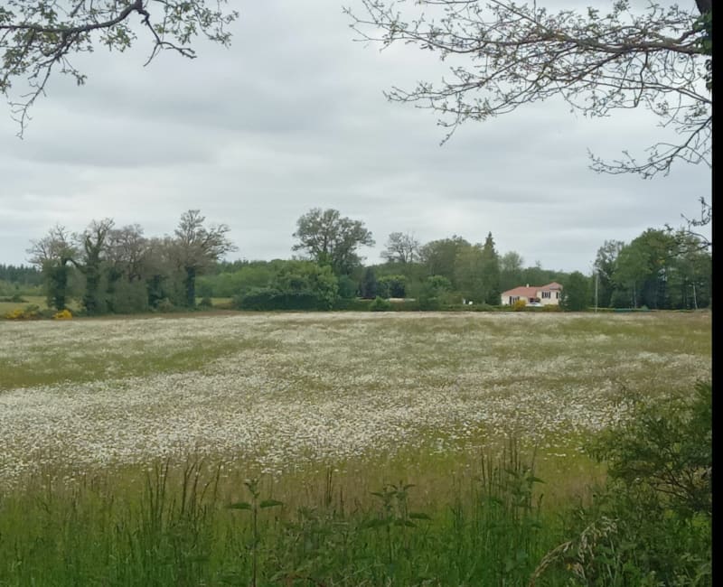 Balade à Peyrilhac - Peyrilhac