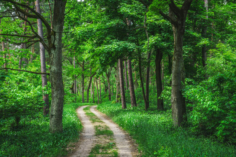 Park Inwałd przez Lubernia - historia i rozrywka - Inwałd