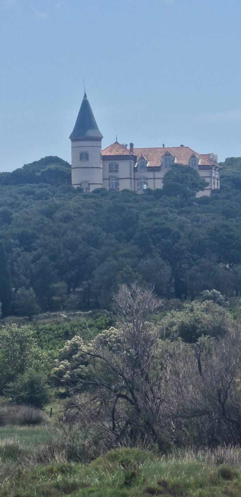 Clape de Gruissan - Fleury