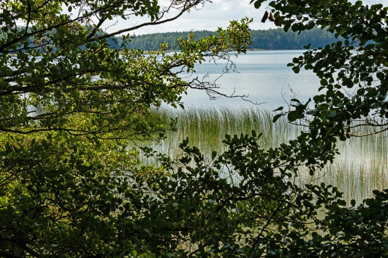 Jezioro Mokre - odkrywaj malownicze Mazury - Krutyń