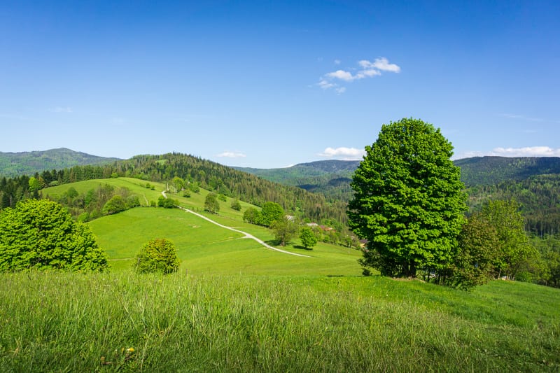 Odkrywaj Beskid Śląski – Szczyrk szczyty - Szczyrk
