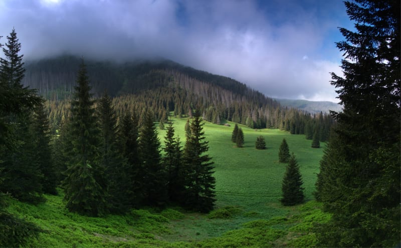 Waksmundzka Przełęcz – malownicza wędrówka w Tatrach - Zakopane