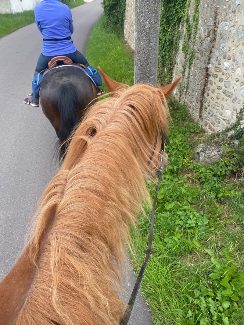 Haras des O - La Chapelle-Longueville
