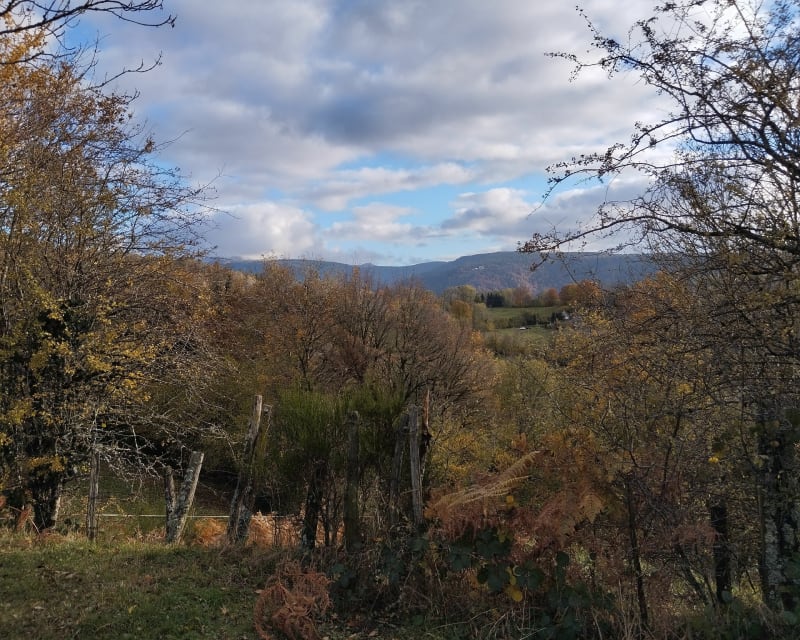 Boucle Briffons gorges de Saint Sulpice - La Bourboule