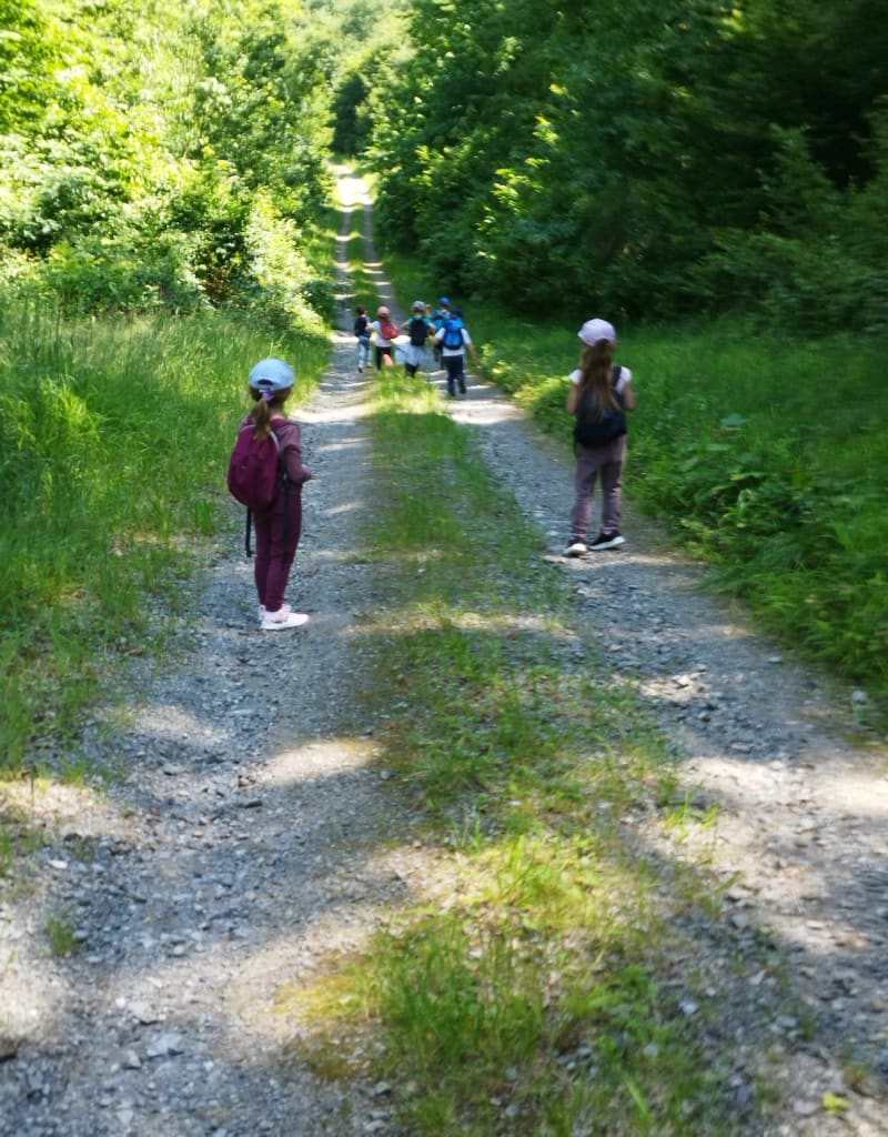 Route forestière de Festieux - Festieux