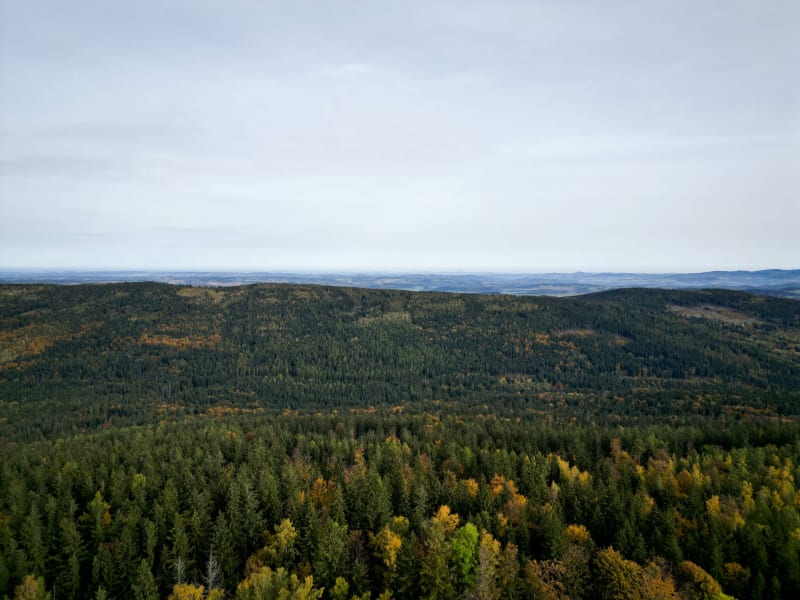 Z wędrówką w górach – Karkonosze przez Slezské sedlo - Karpacz