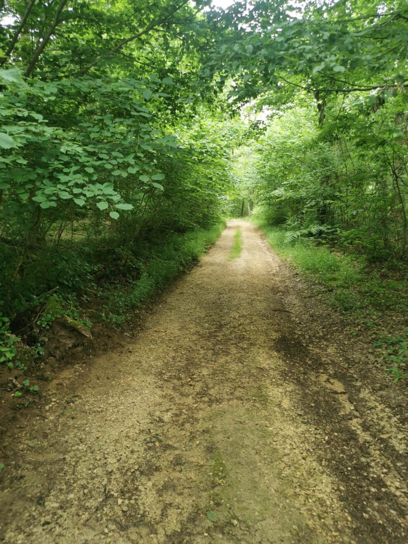 Boucle Campagne et plateau de St Cyprien - Campagne
