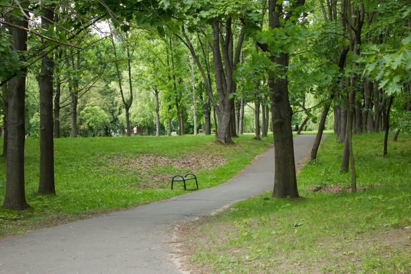Park Lotników Polskich, czyli chwila oddechu w centrum Krakowa - Kraków