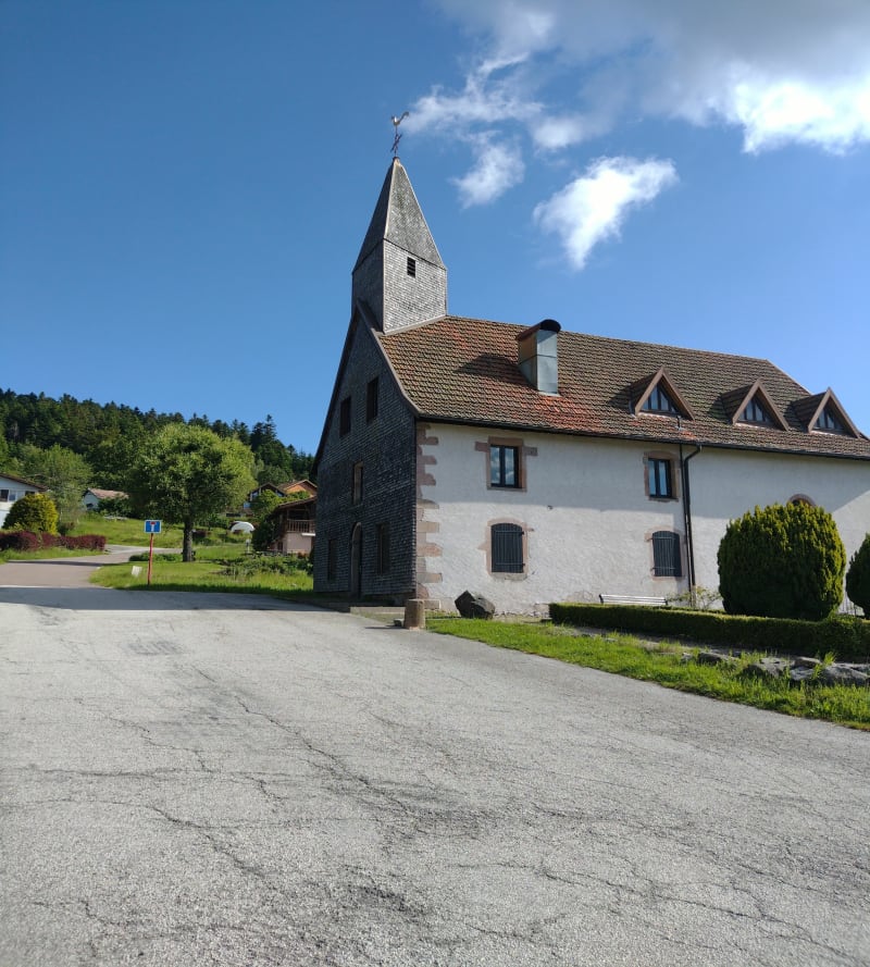 Les hauteurs de Gérardmer et sa forêt. - Gérardmer