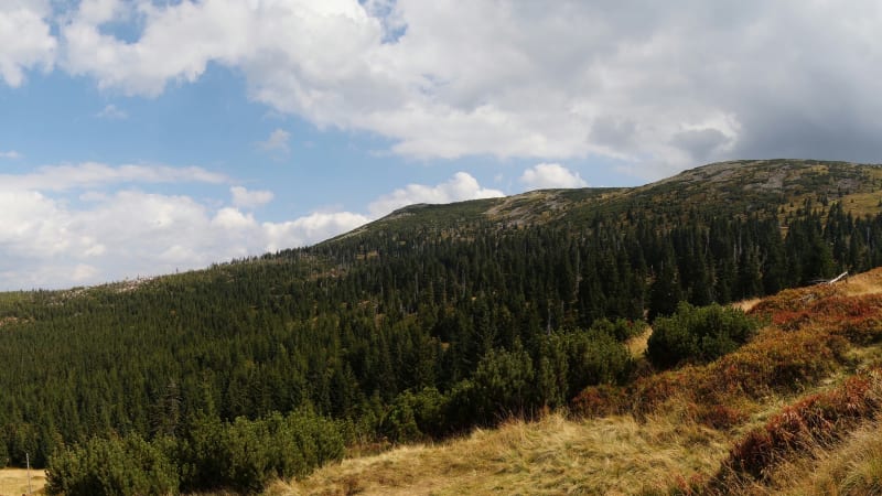 Odwiedź Park Krajobrazowy Sudetów Wałbrzyskich - Sokołowsko