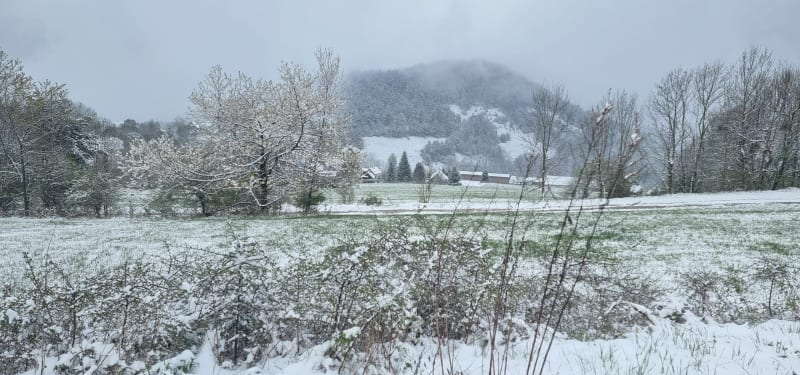 Petite boucle sur les auteurs de Saint Andeol - Saint-Andéol