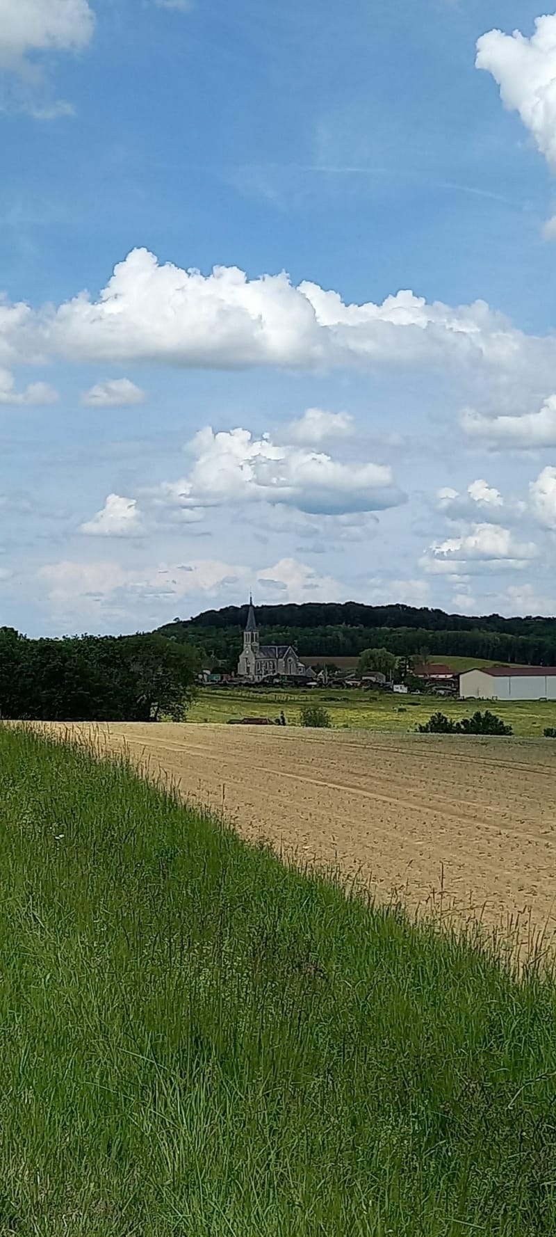 Balade de Couternon à Longchamp - Couternon