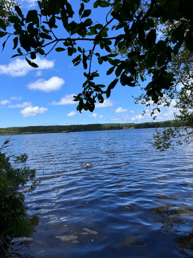 Balade près du Lac Blanc - Soustons
