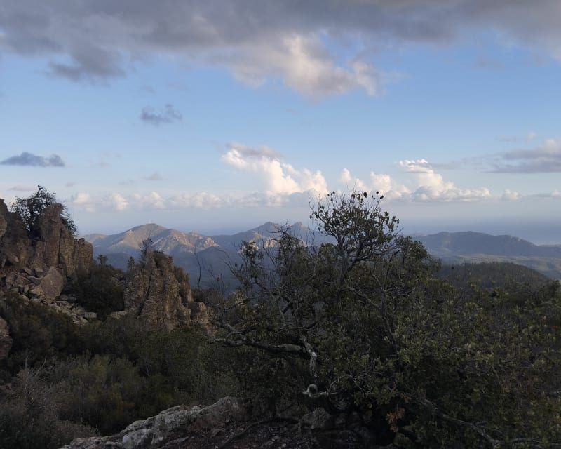 Vallon du Porfait, pimenté de la montée du Mont Vinaigre - Fréjus