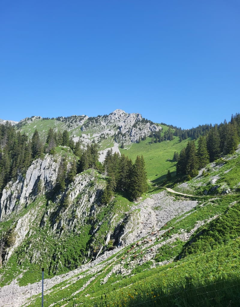Pointe de l'Arvouin par son lac et son col - La Chapelle-d'Abondance