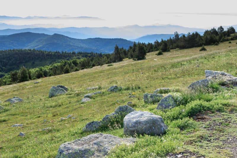 Balade forestière autour du Mont Aigoual - Val-d'Aigoual