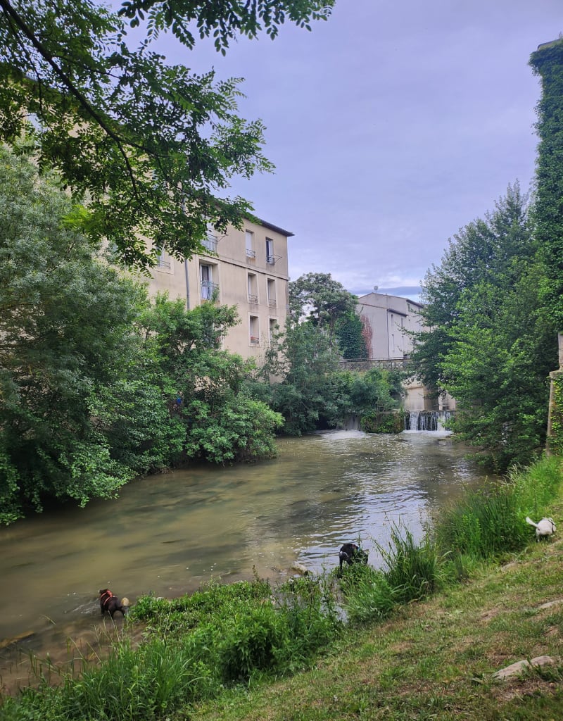 Balade au bord de l'Aude - Carcassonne