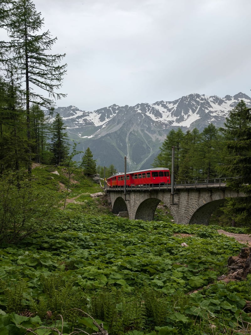 Randonnée à Montenvers avec vue sublime sur le Signal Forbes - Chamonix-Mont-Blanc